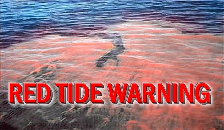 Amazing Red Tide Pictures & Backgrounds