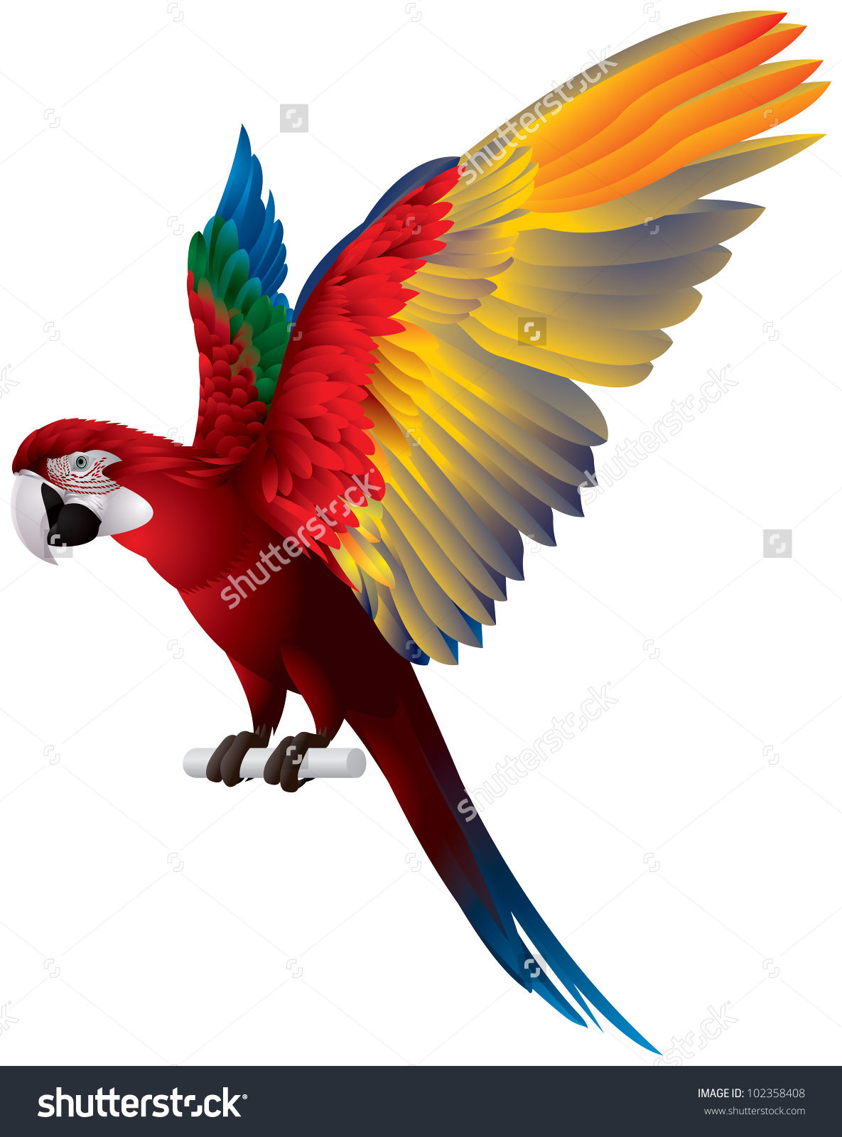 High Resolution Wallpaper | Red-and-green Macaw 1185x1600 px
