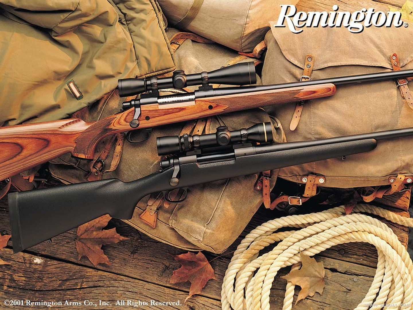Remington Rifle #2