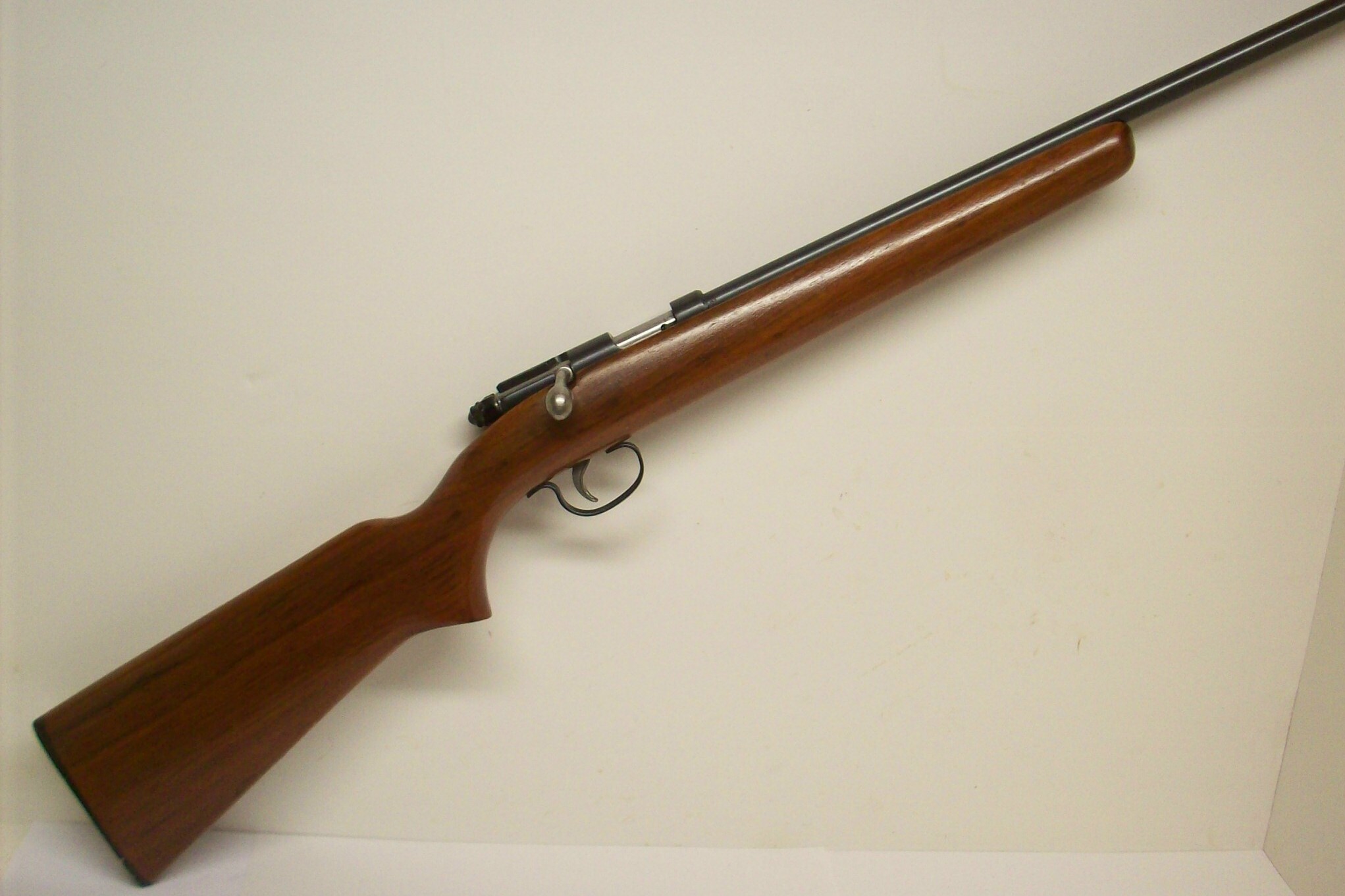 Remington 22 Mag Rifle