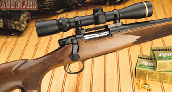 Remington Rifle #21