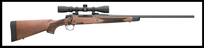 Remington Rifle #10