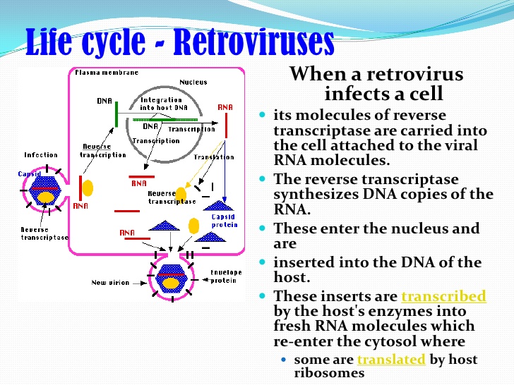 Retrovirus #2