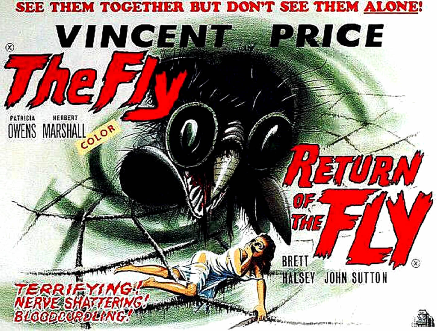Return Of The Fly #1