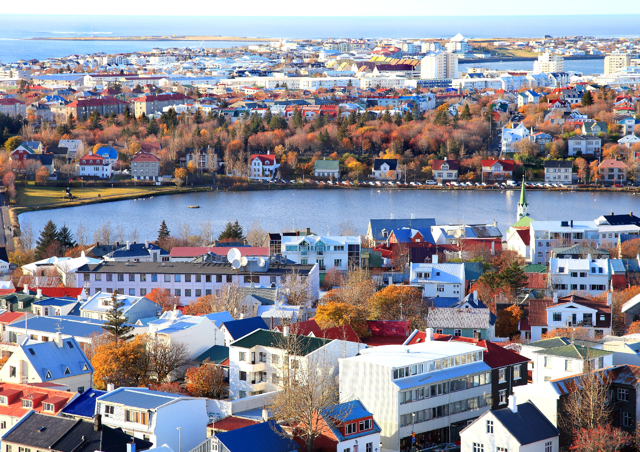 Reykjavík #8