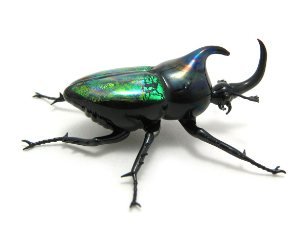 Rhinoceros Beetle #22