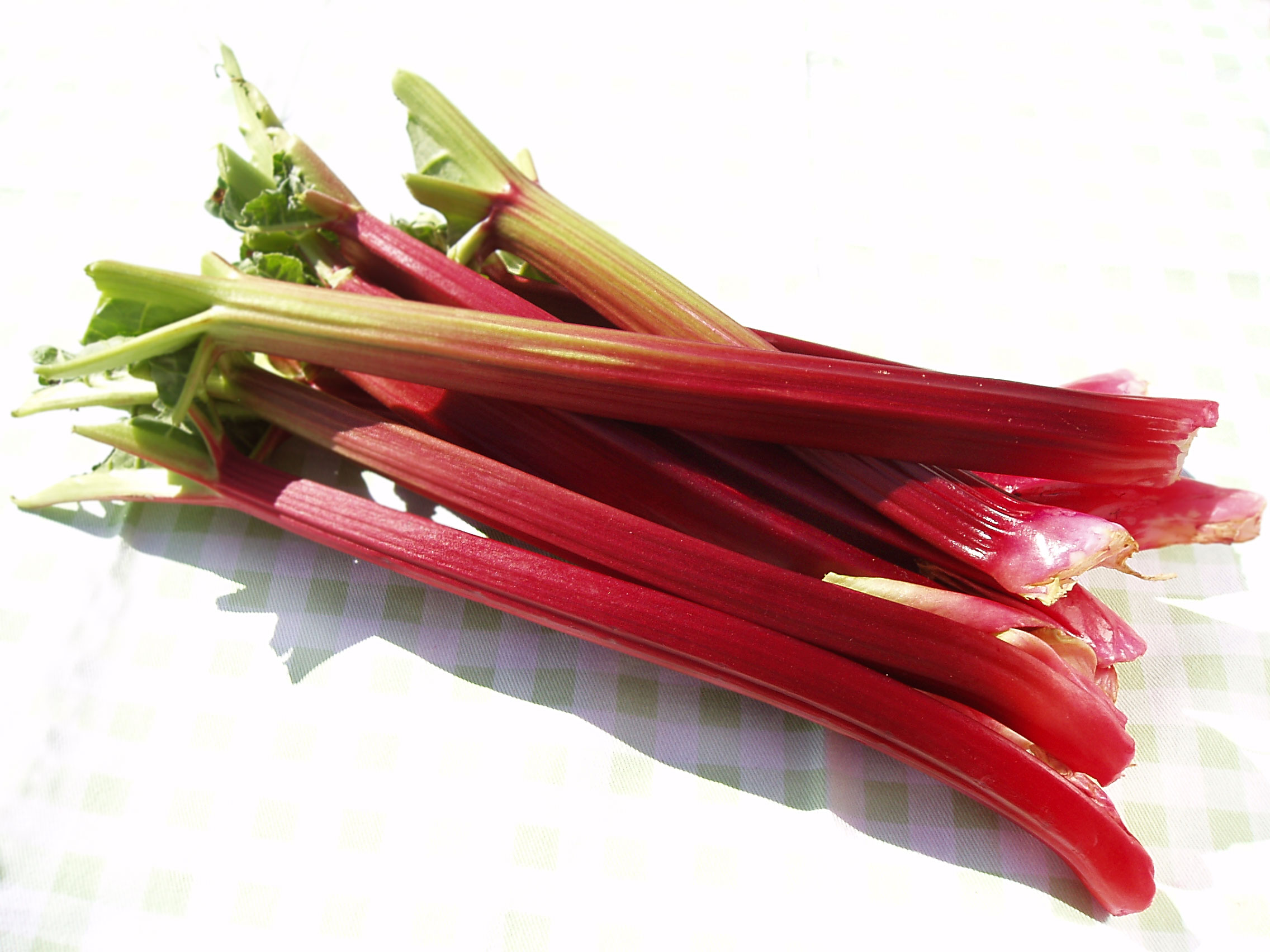 Rhubarb High Quality Background on Wallpapers Vista