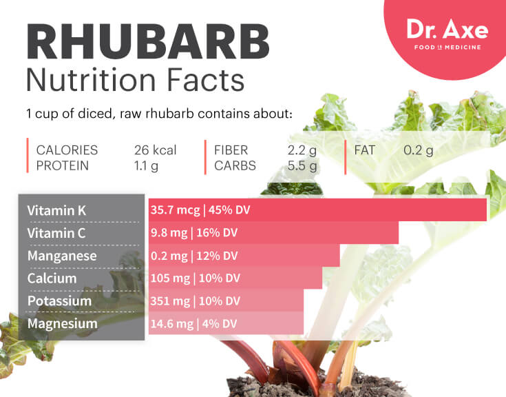 Rhubarb #9