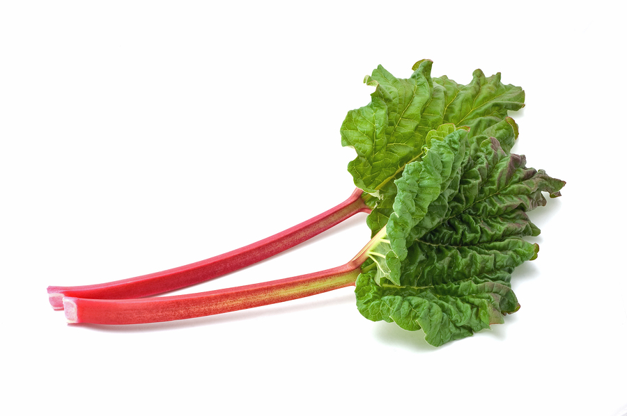 Nice Images Collection: Rhubarb Desktop Wallpapers