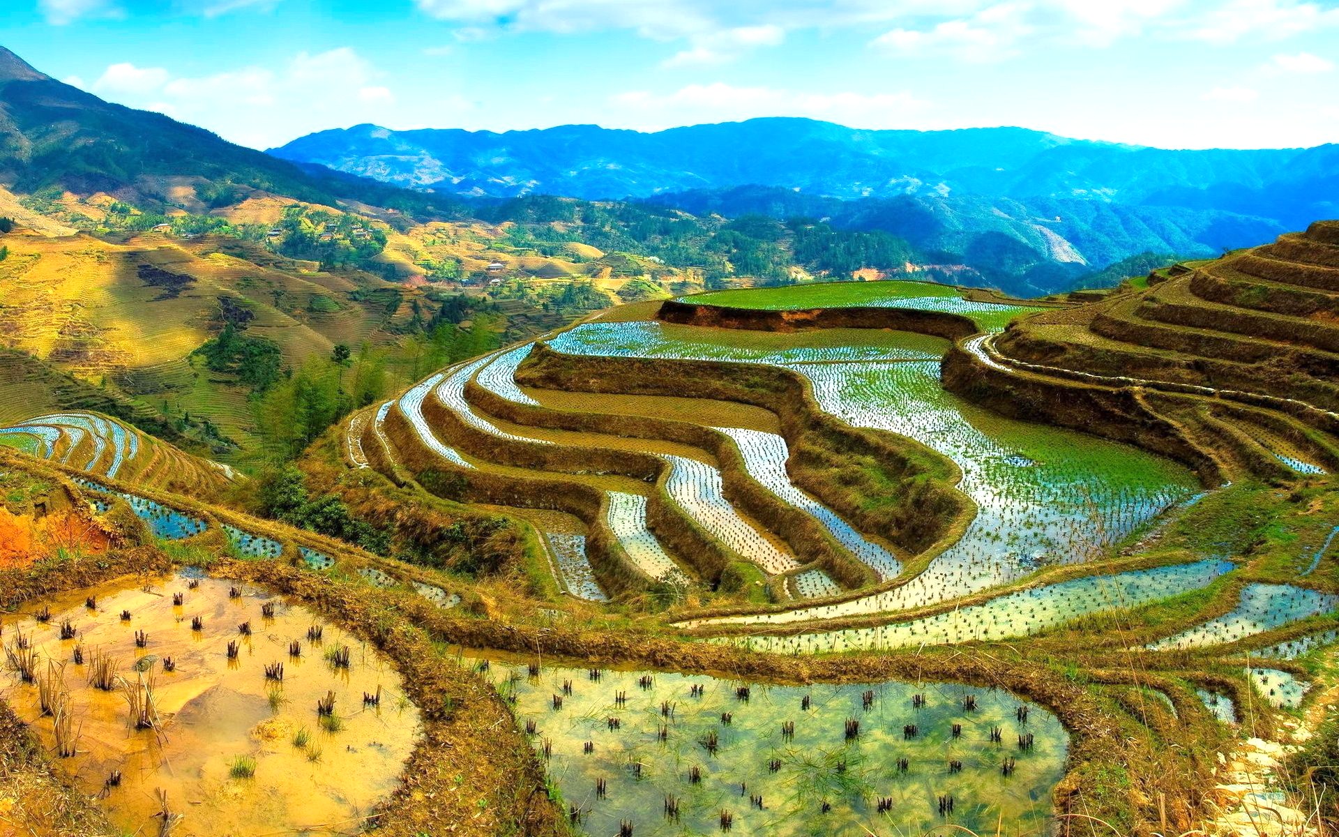 1920x1200 > Rice Terrace Wallpapers
