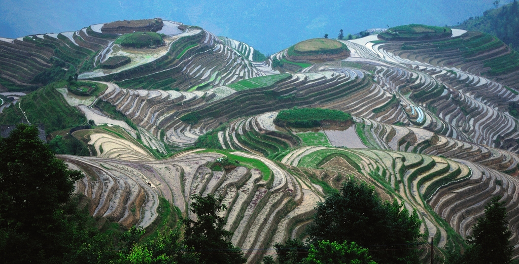 Images of Rice Terrace | 1023x520