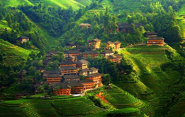 600x380 > Rice Terrace Wallpapers