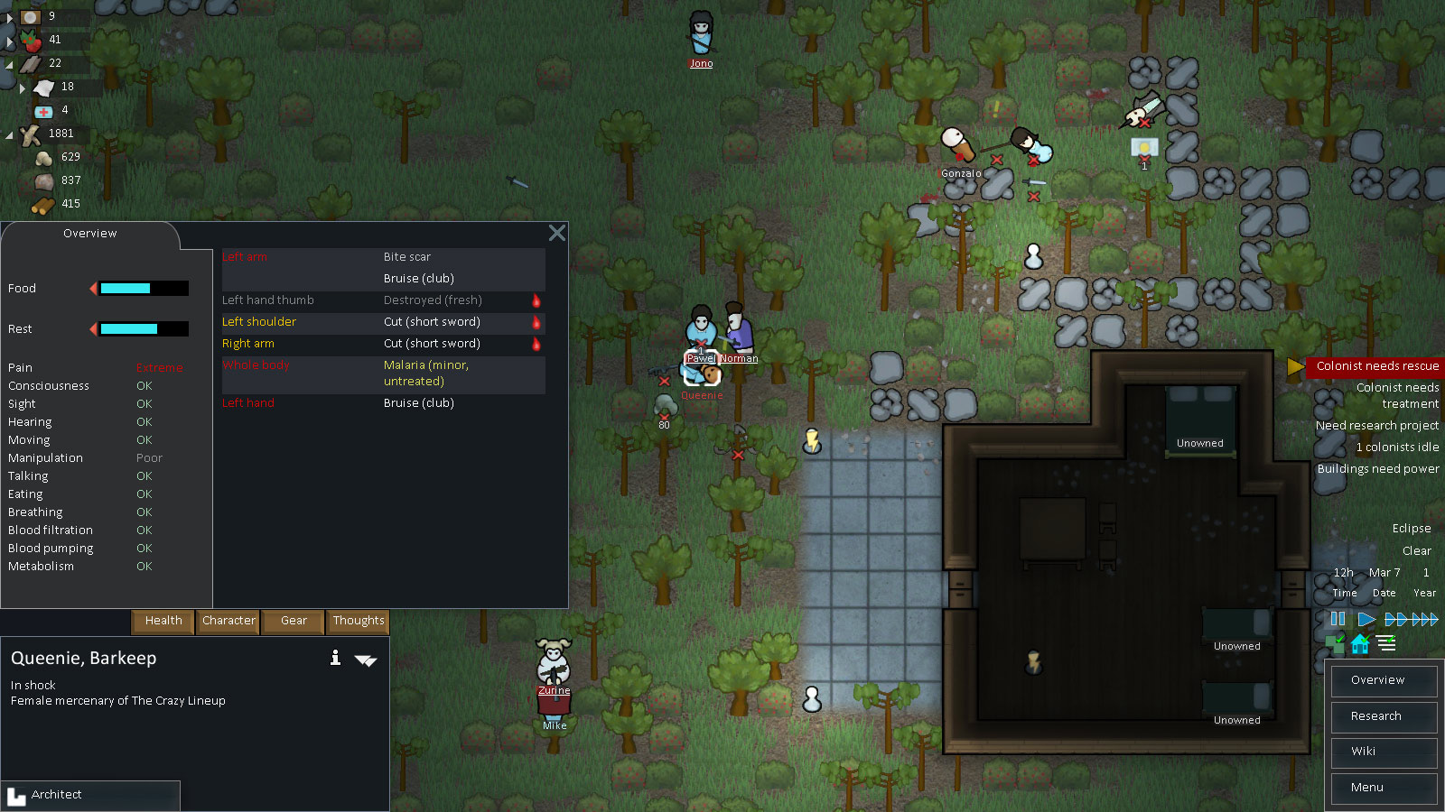 RimWorld Pics, Video Game Collection