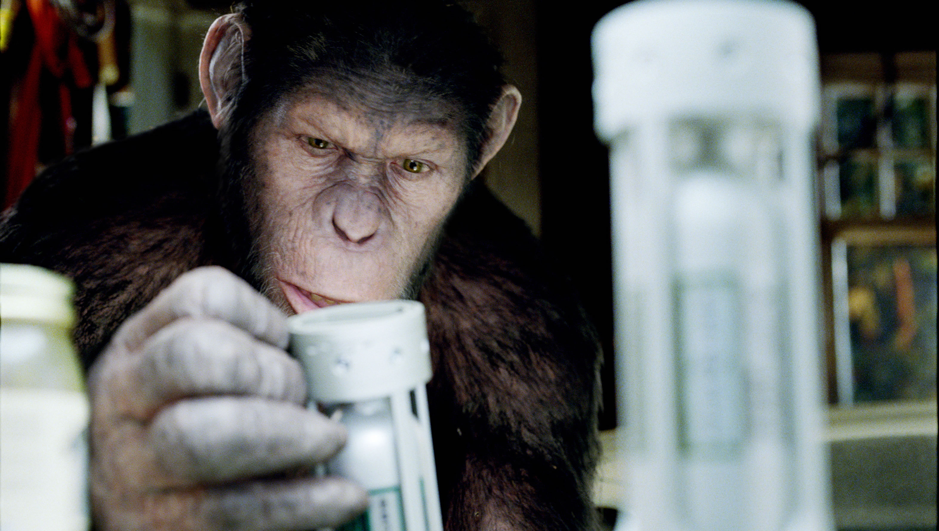 High Resolution Wallpaper | Rise Of The Planet Of The Apes 3146x1778 px
