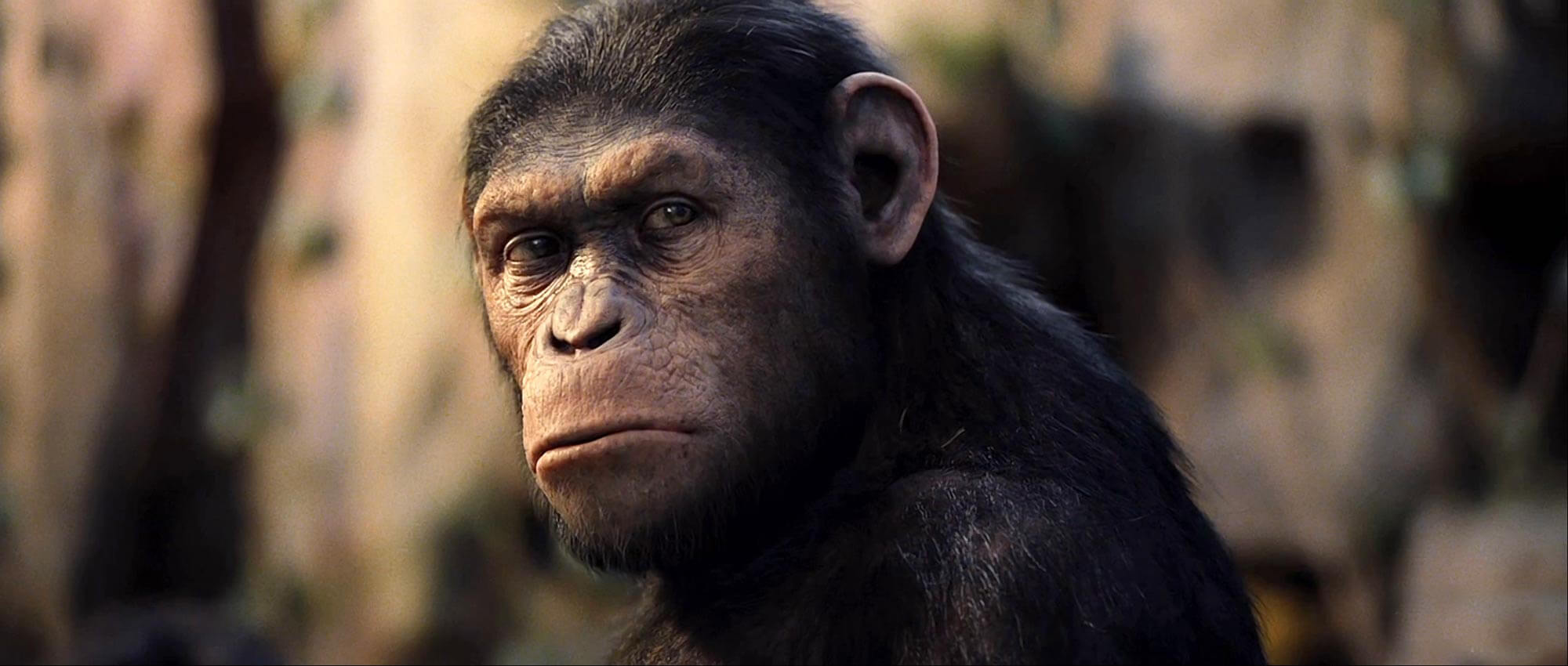 High Resolution Wallpaper | Rise Of The Planet Of The Apes 2000x850 px