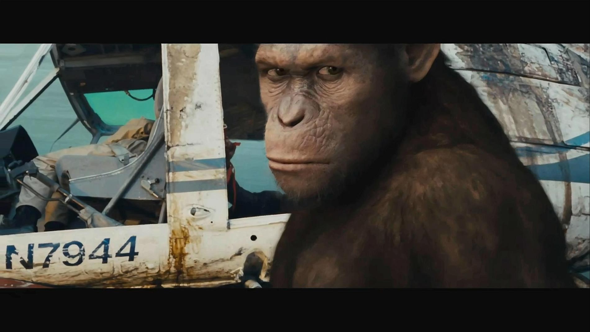 Nice wallpapers Rise Of The Planet Of The Apes 1900x1069px