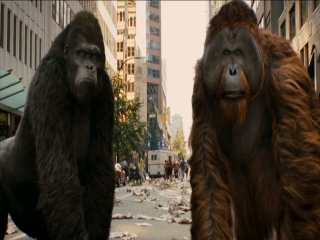 Rise Of The Planet Of The Apes Pics, Movie Collection
