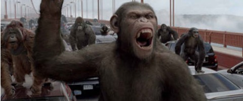 High Resolution Wallpaper | Rise Of The Planet Of The Apes 480x200 px