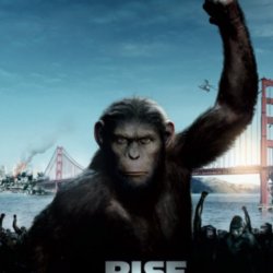 High Resolution Wallpaper | Rise Of The Planet Of The Apes 250x250 px