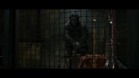 Rise Of The Planet Of The Apes High Quality Background on Wallpapers Vista