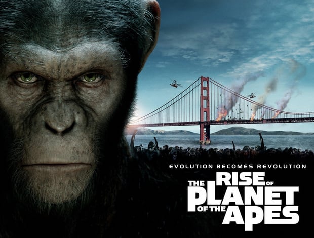 HD Quality Wallpaper | Collection: Movie, 620x470 Rise Of The Planet Of The Apes