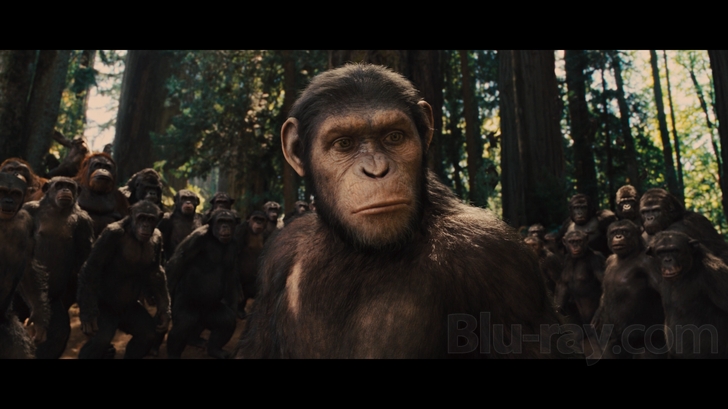 728x409 > Rise Of The Planet Of The Apes Wallpapers