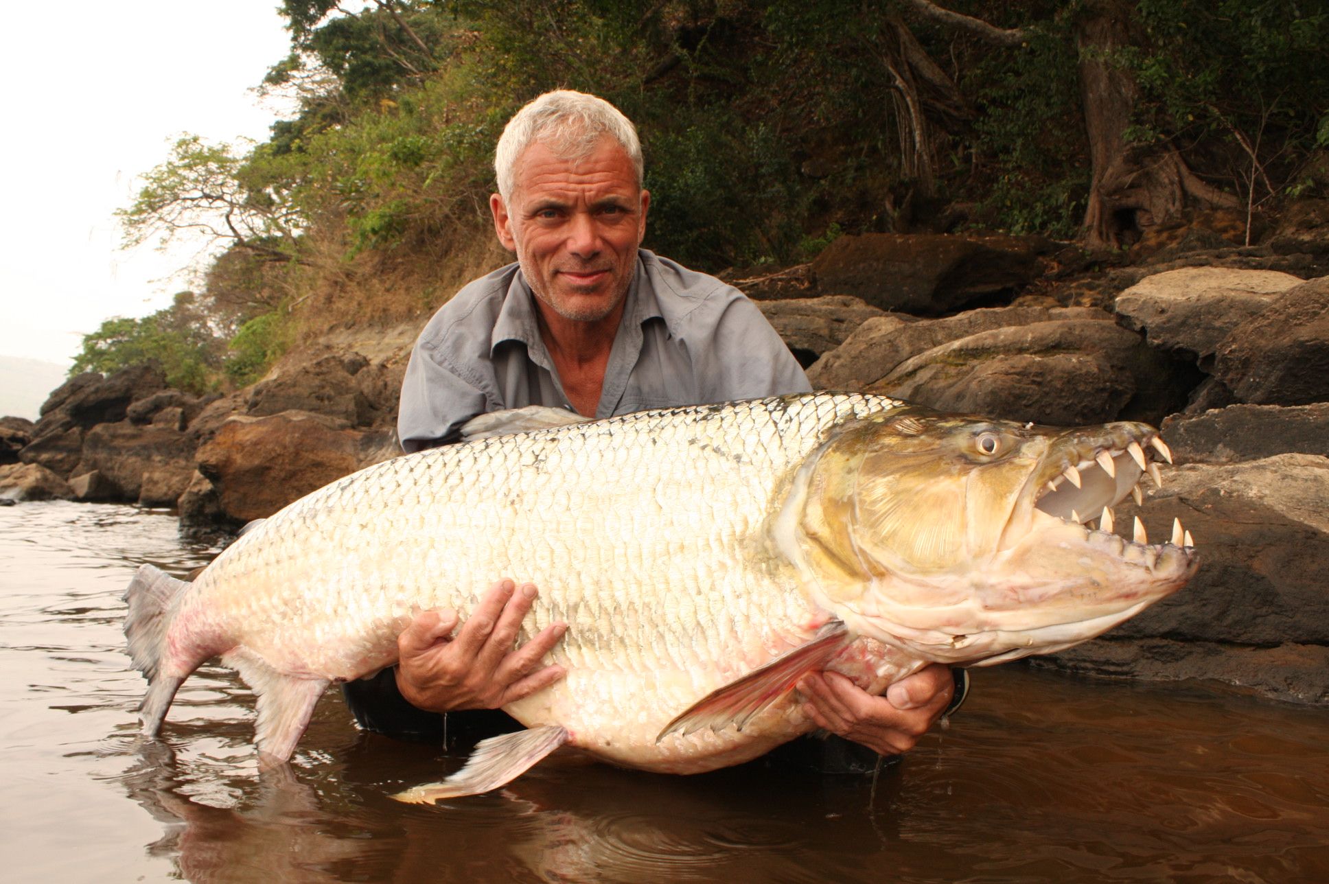 River Monsters Backgrounds, Compatible - PC, Mobile, Gadgets| 1936x1288 px