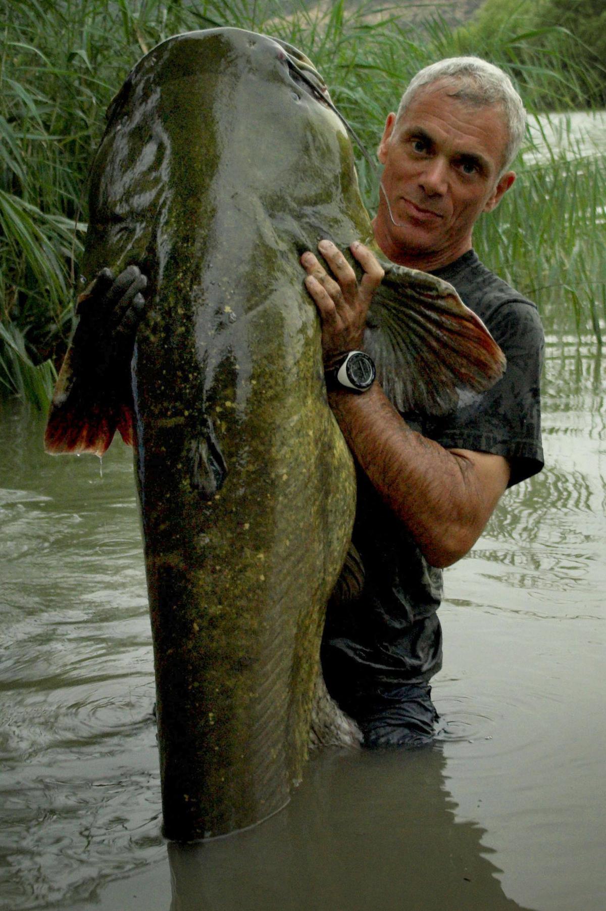 HQ River Monsters Wallpapers | File 284.66Kb