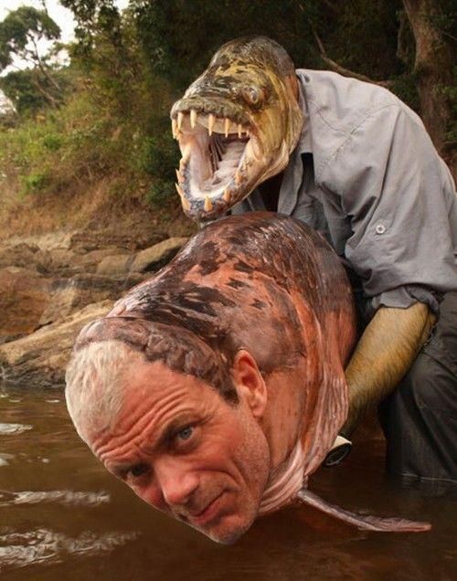 HD Quality Wallpaper | Collection: TV Show, 500x636 River Monsters