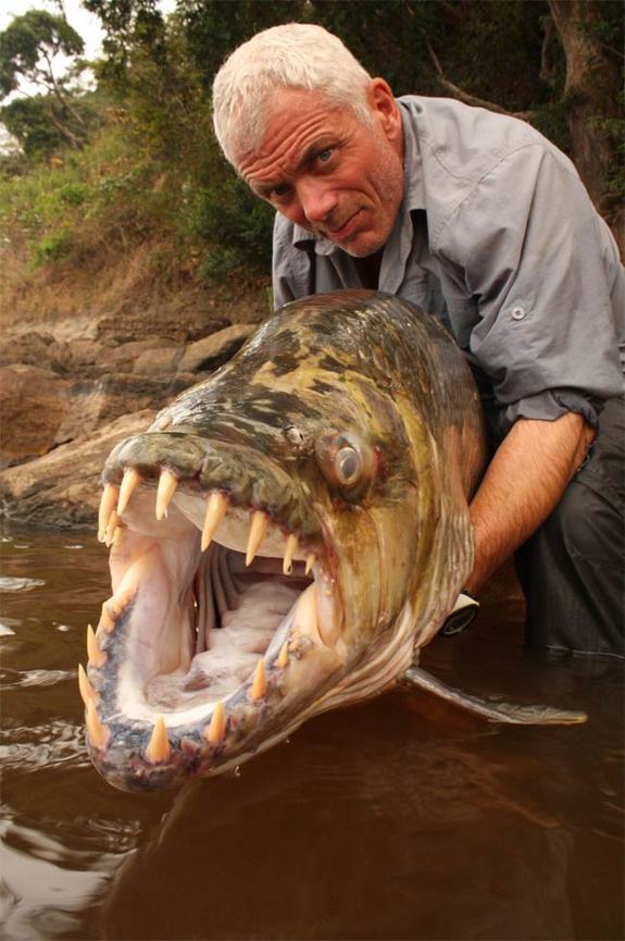 Amazing River Monsters Pictures & Backgrounds