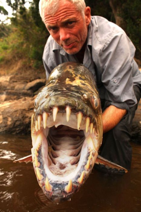 Images of River Monsters | 466x700