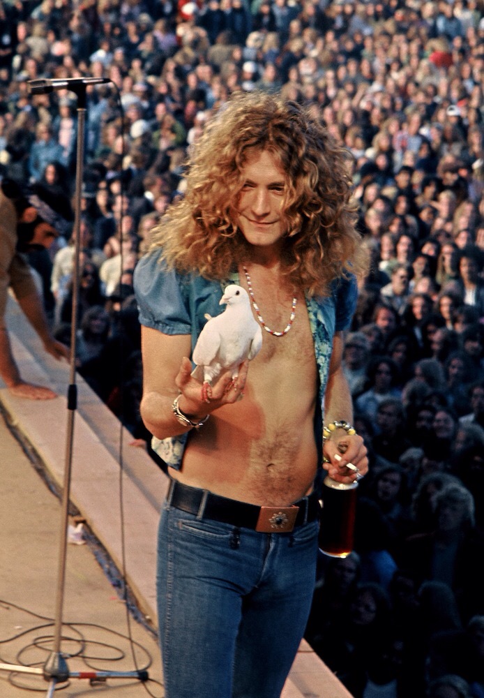 Robert Plant #4