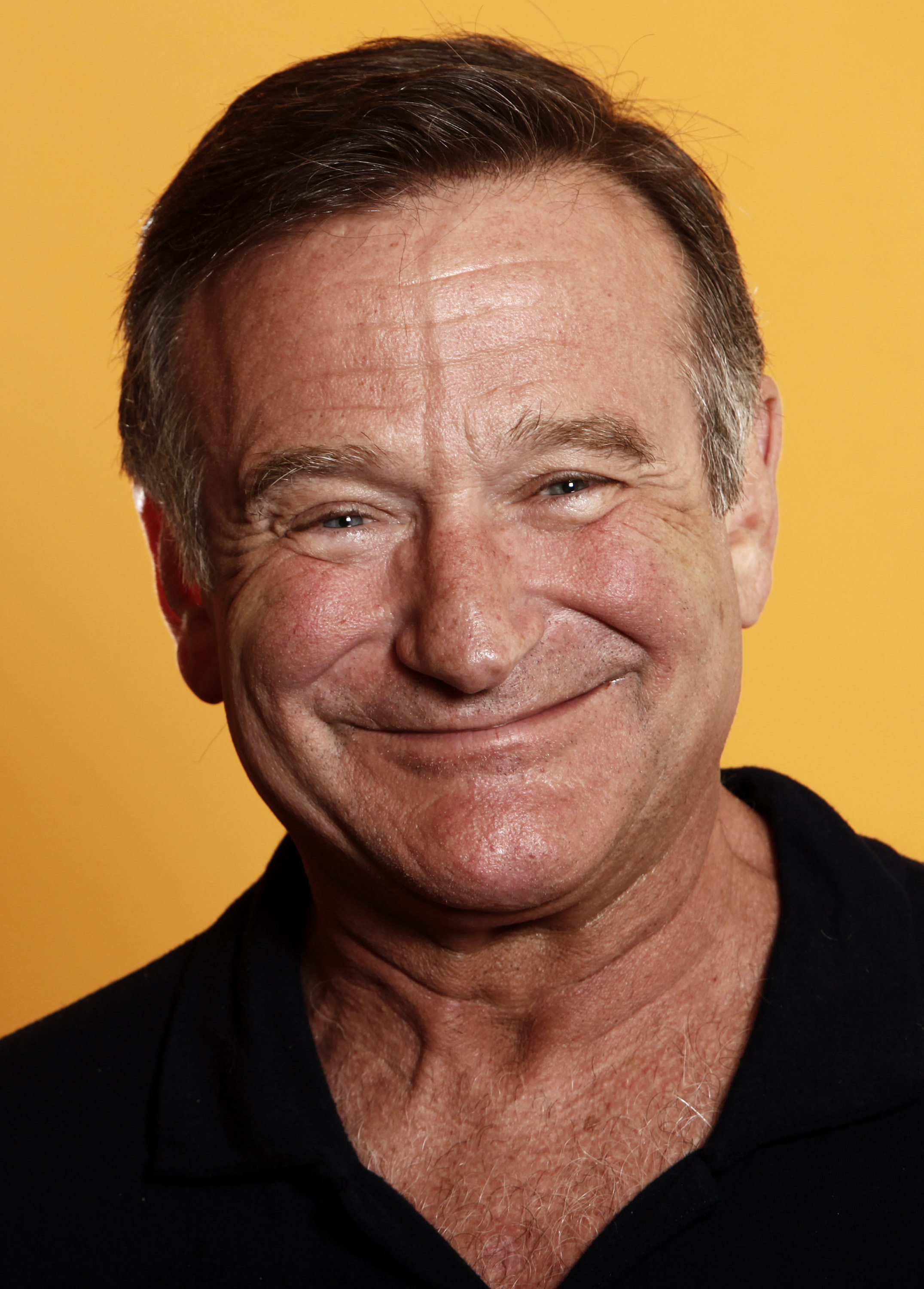 Robin Williams Pics, Celebrity Collection