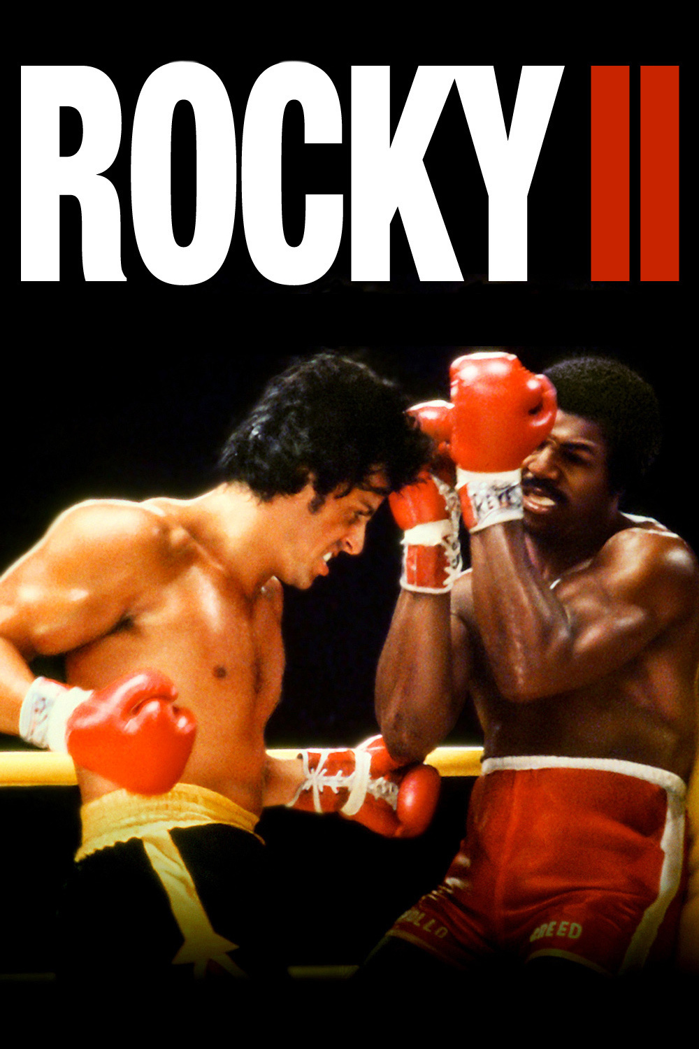 Rocky II Backgrounds on Wallpapers Vista