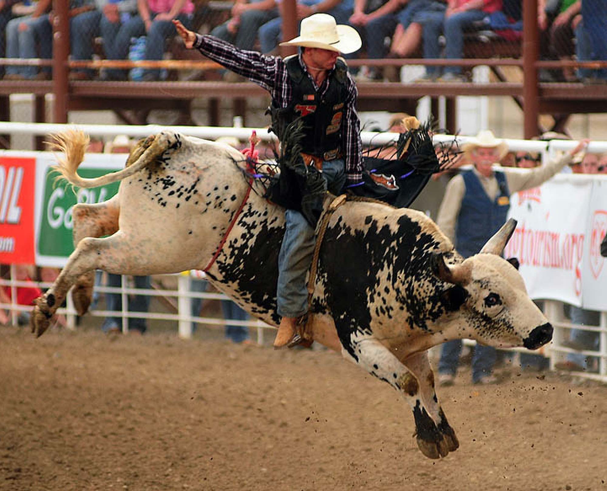 Nice Images Collection: Rodeo Desktop Wallpapers