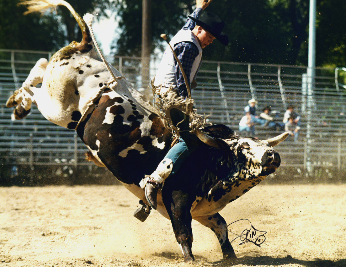 Rodeo #4