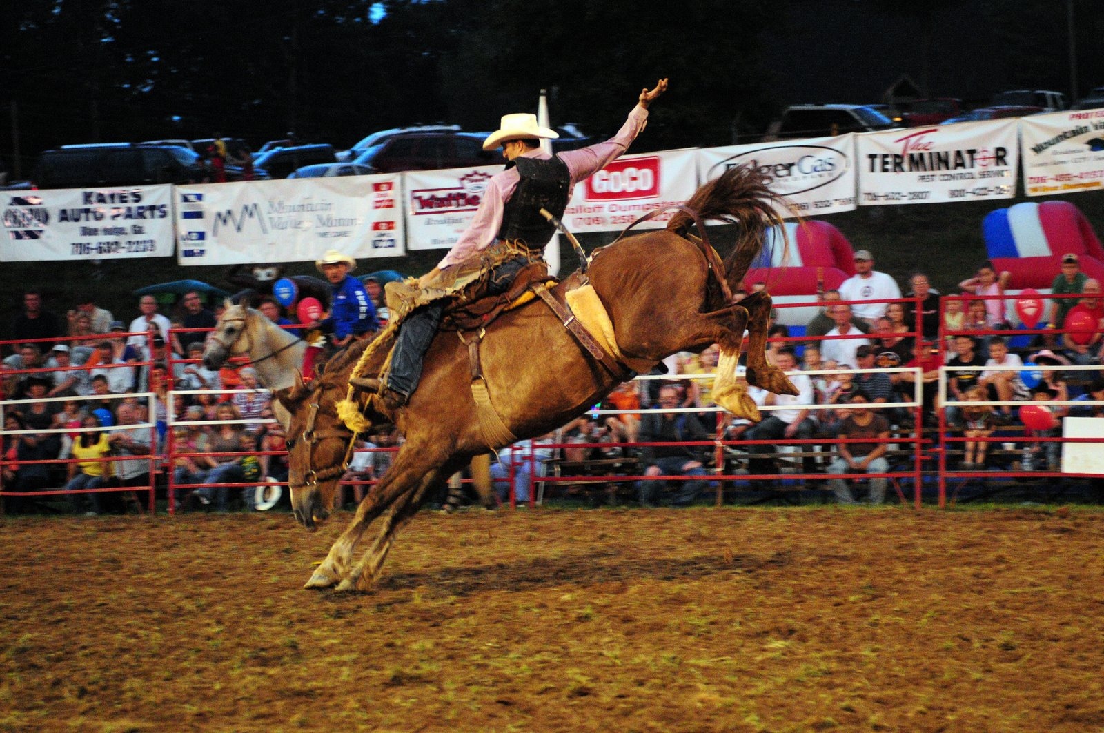 Rodeo Pics, Sports Collection