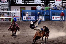 Rodeo #15