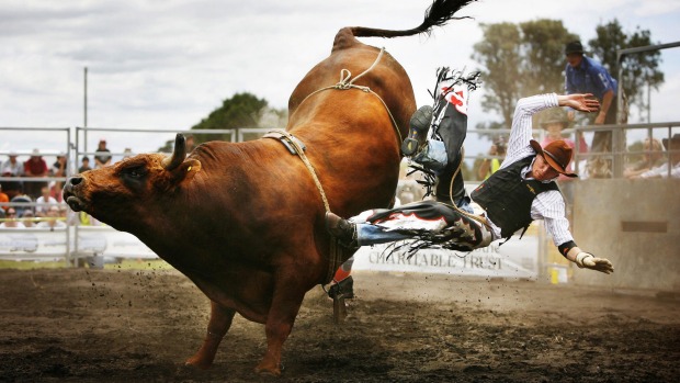 Amazing Rodeo Pictures & Backgrounds