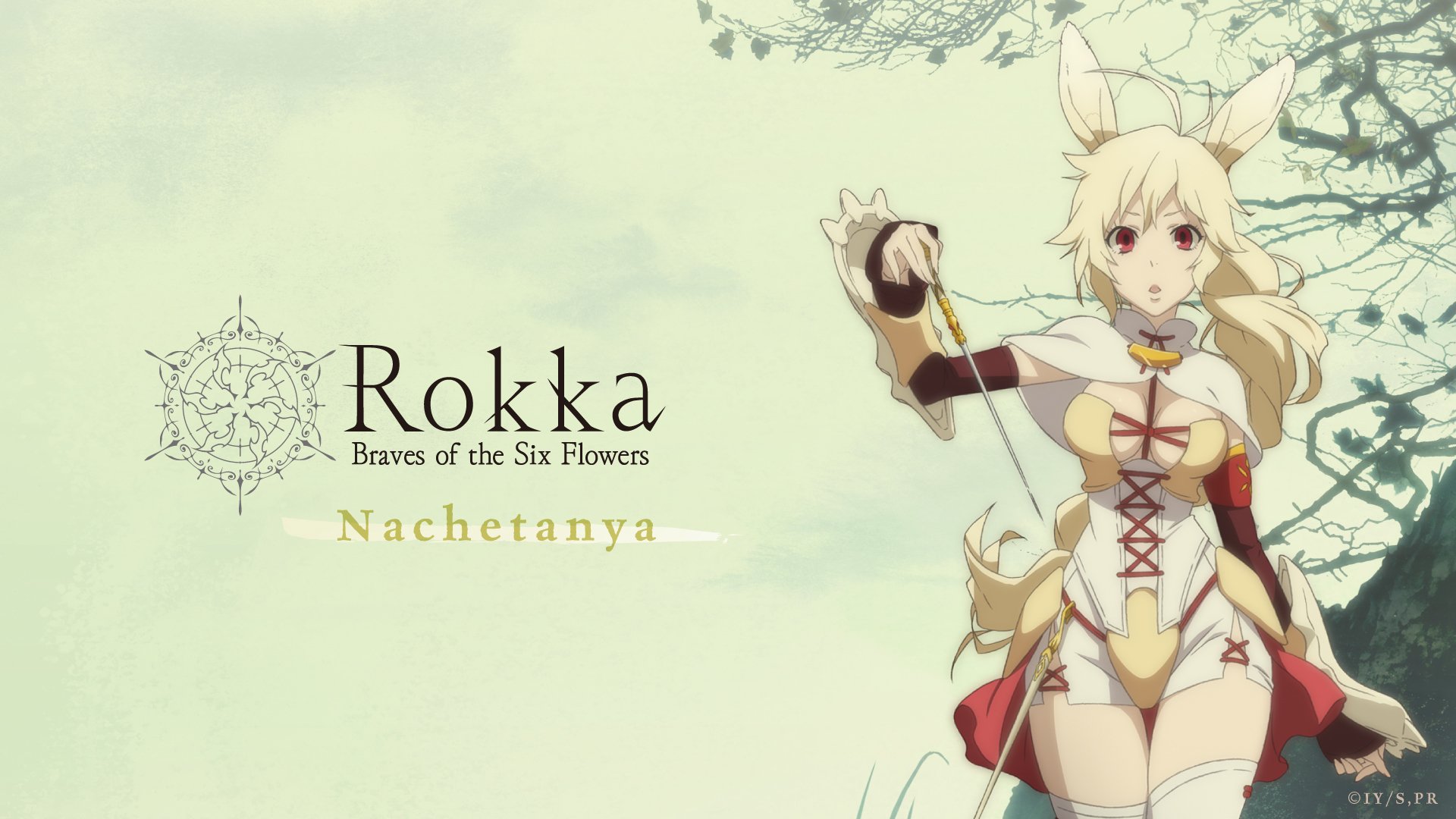 Nice wallpapers Rokka: Braves Of The Six Flowers 1920x1080px