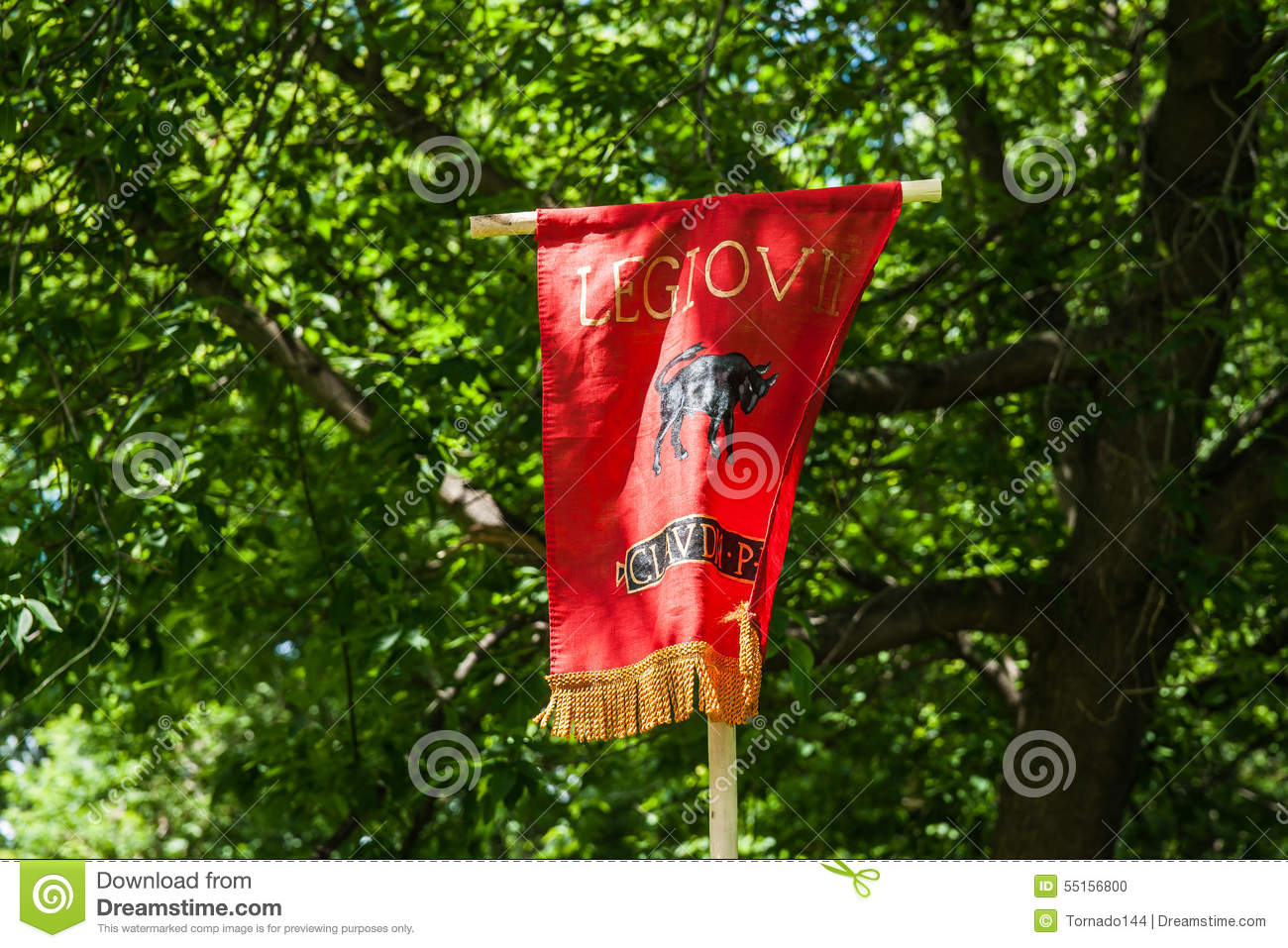 Roman Legion Flag High Quality Background on Wallpapers Vista