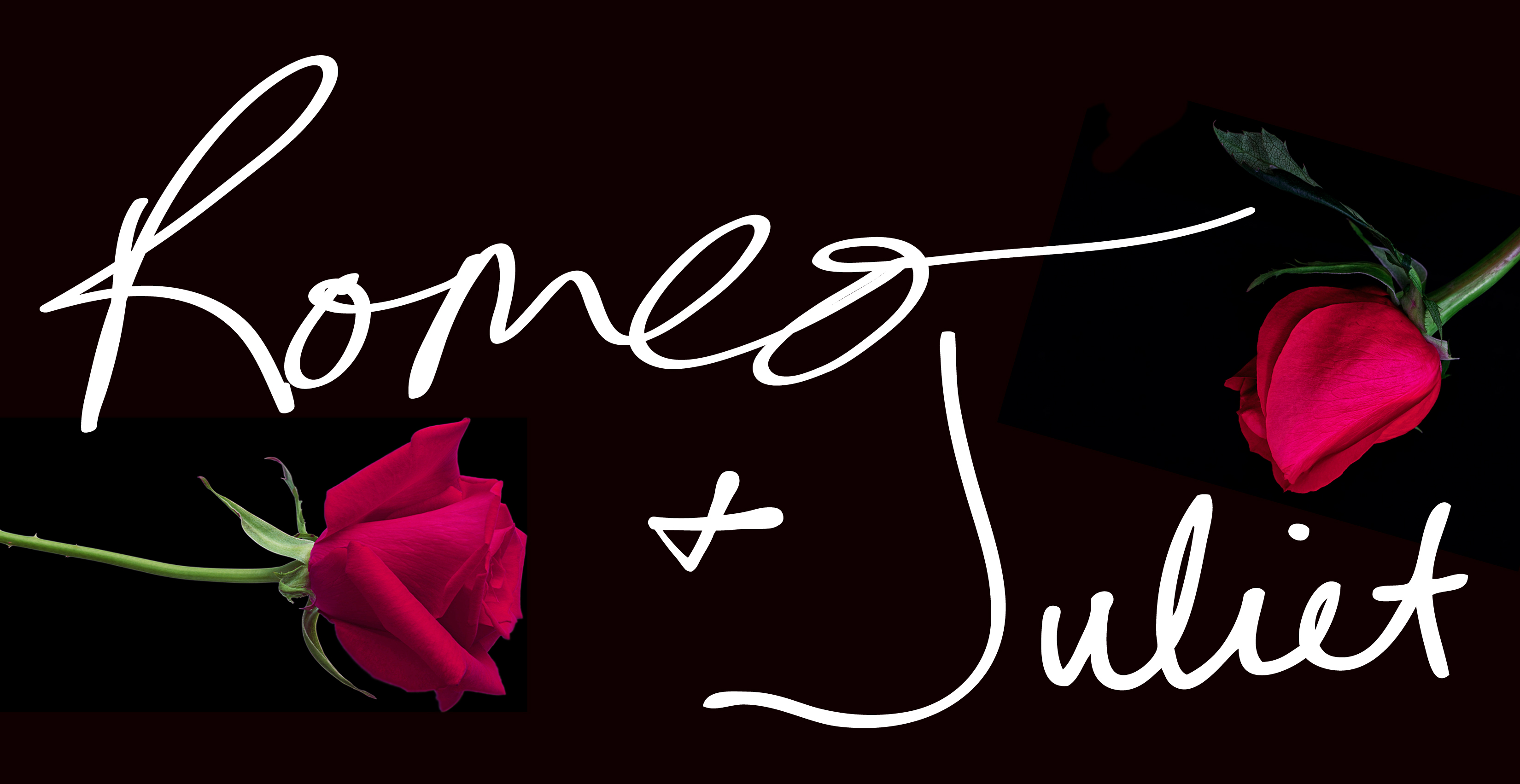 Romeo And Juliet #15