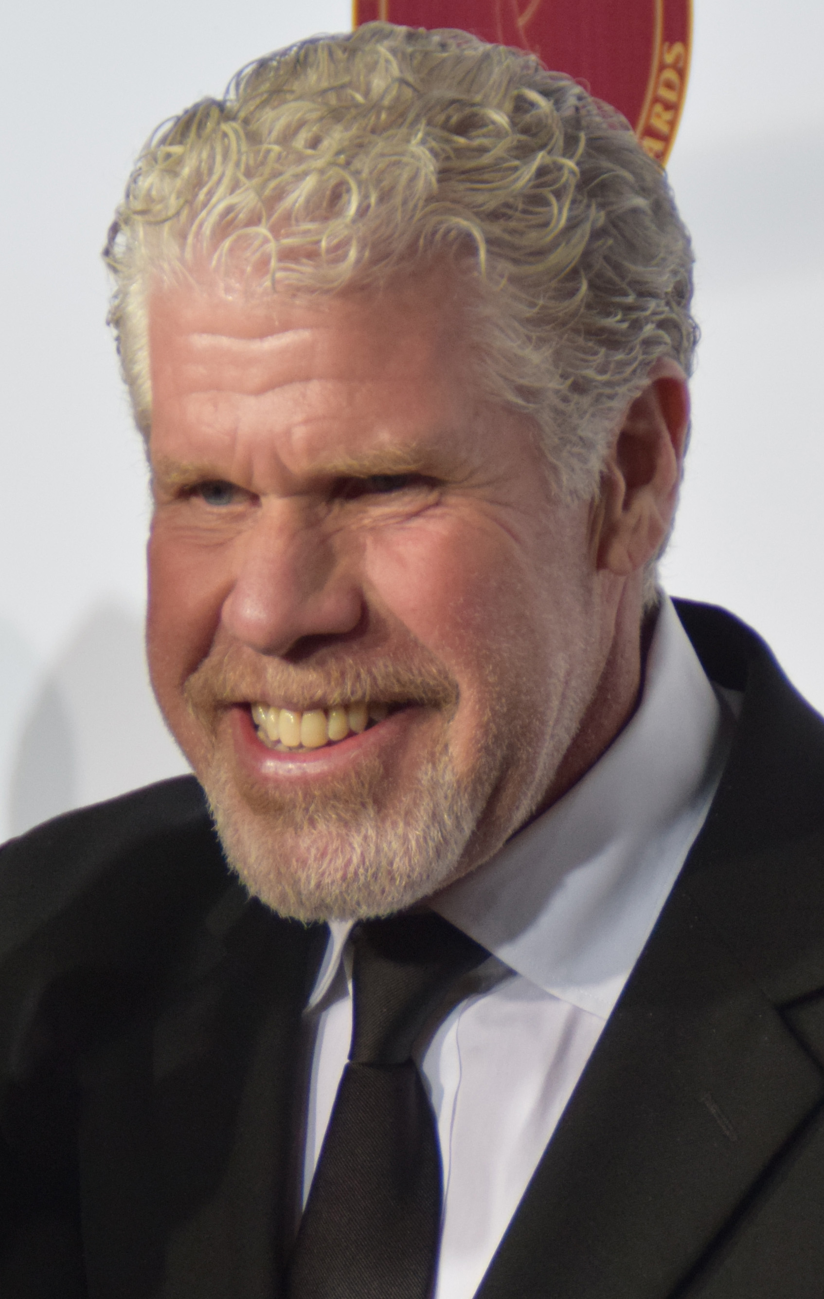 HD Quality Wallpaper | Collection: Celebrity, 1694x2669 Ron Perlman
