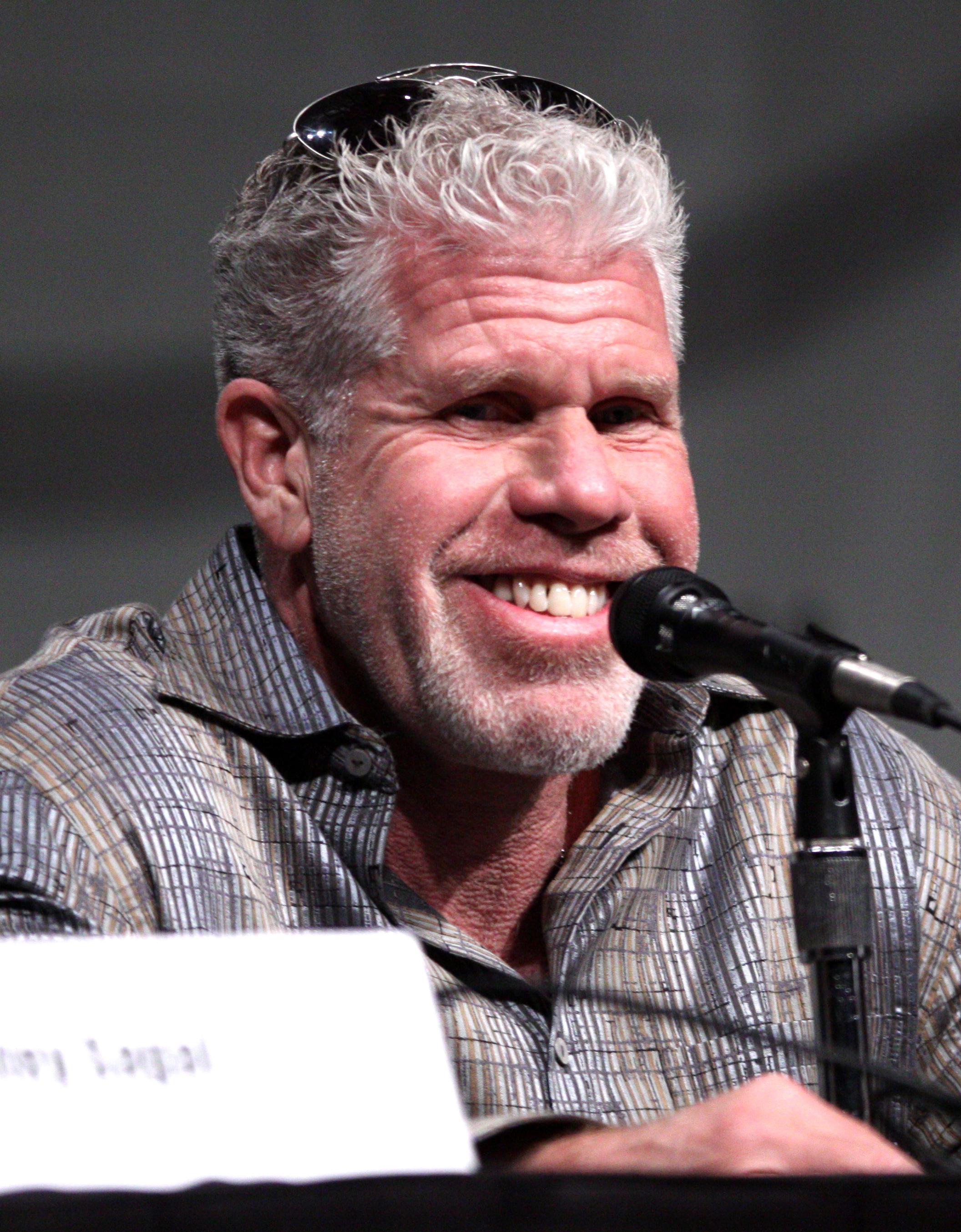 Ron Perlman Backgrounds on Wallpapers Vista