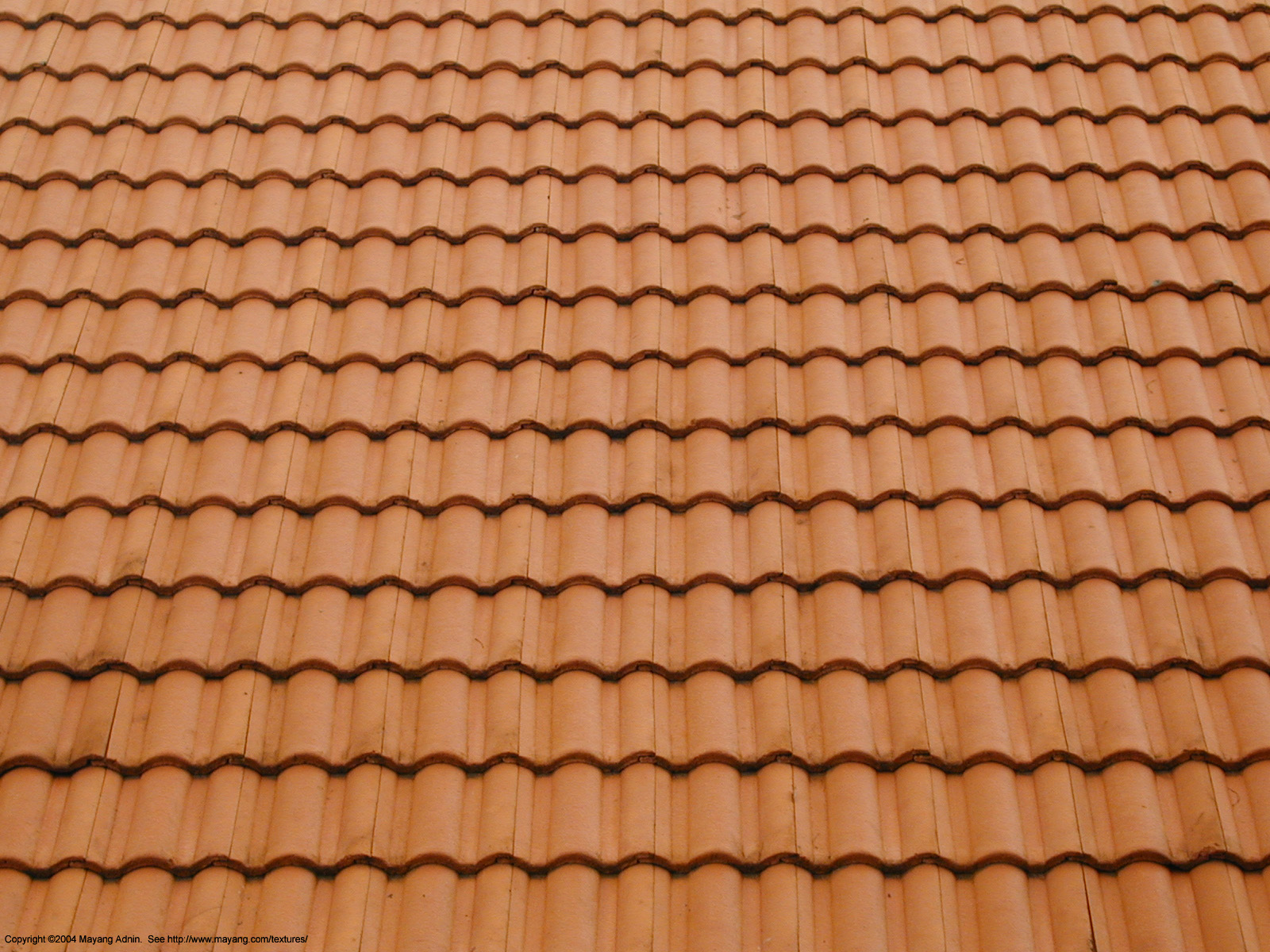 Roof Pics, Man Made Collection