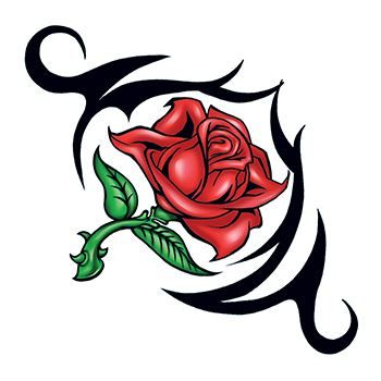 Rose & Thorn Backgrounds, Compatible - PC, Mobile, Gadgets| 350x350 px