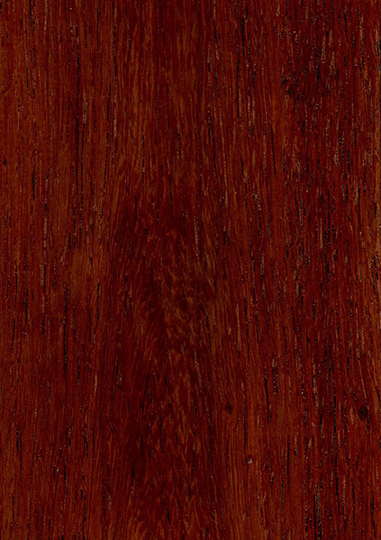 High Resolution Wallpaper | Rosewood 423x600 px