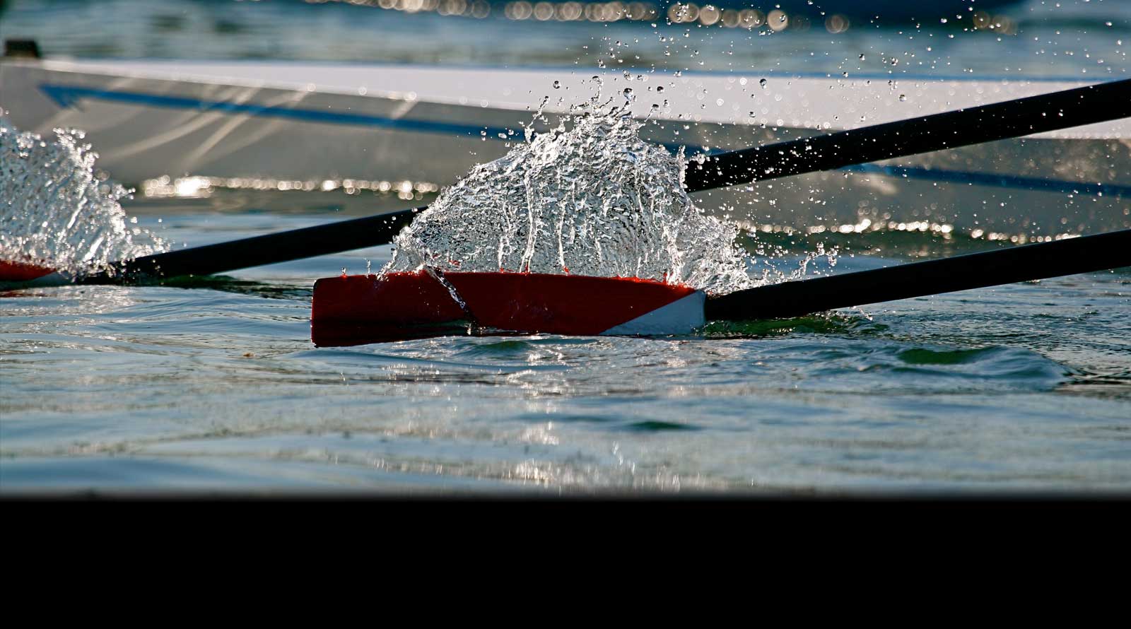 HD Quality Wallpaper | Collection: Sports, 1600x890 Rowing