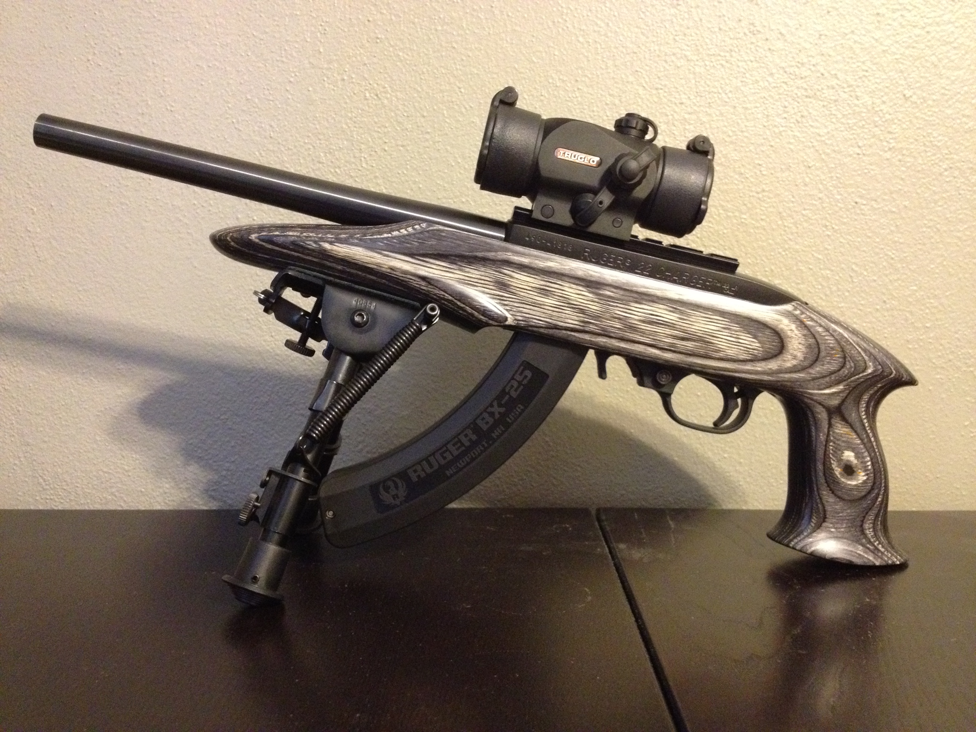 Amazing Ruger 10 22 Rifle Pictures & Backgrounds