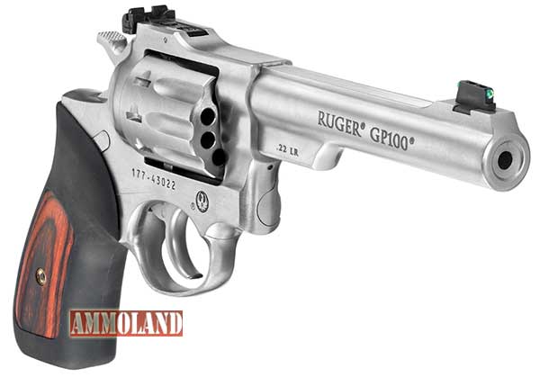 Ruger Revolver #9